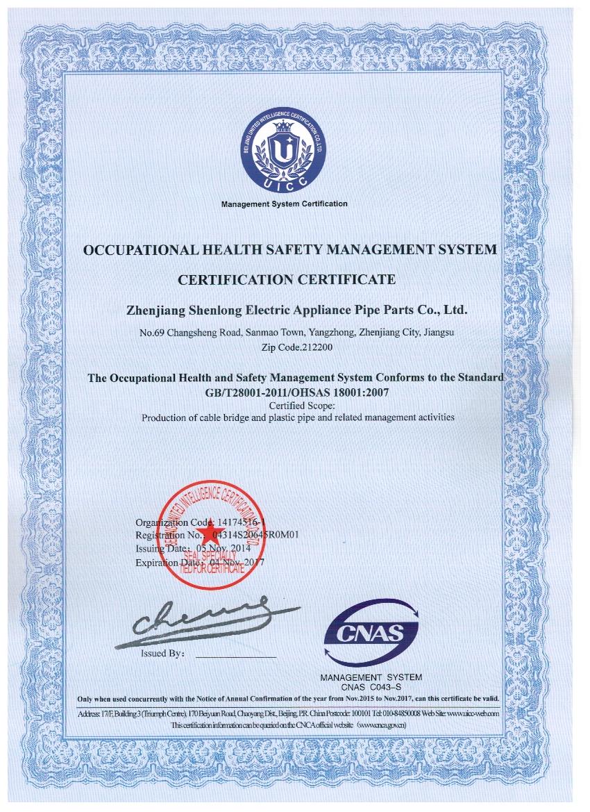 职业健康安全管理体系认证证书(英)